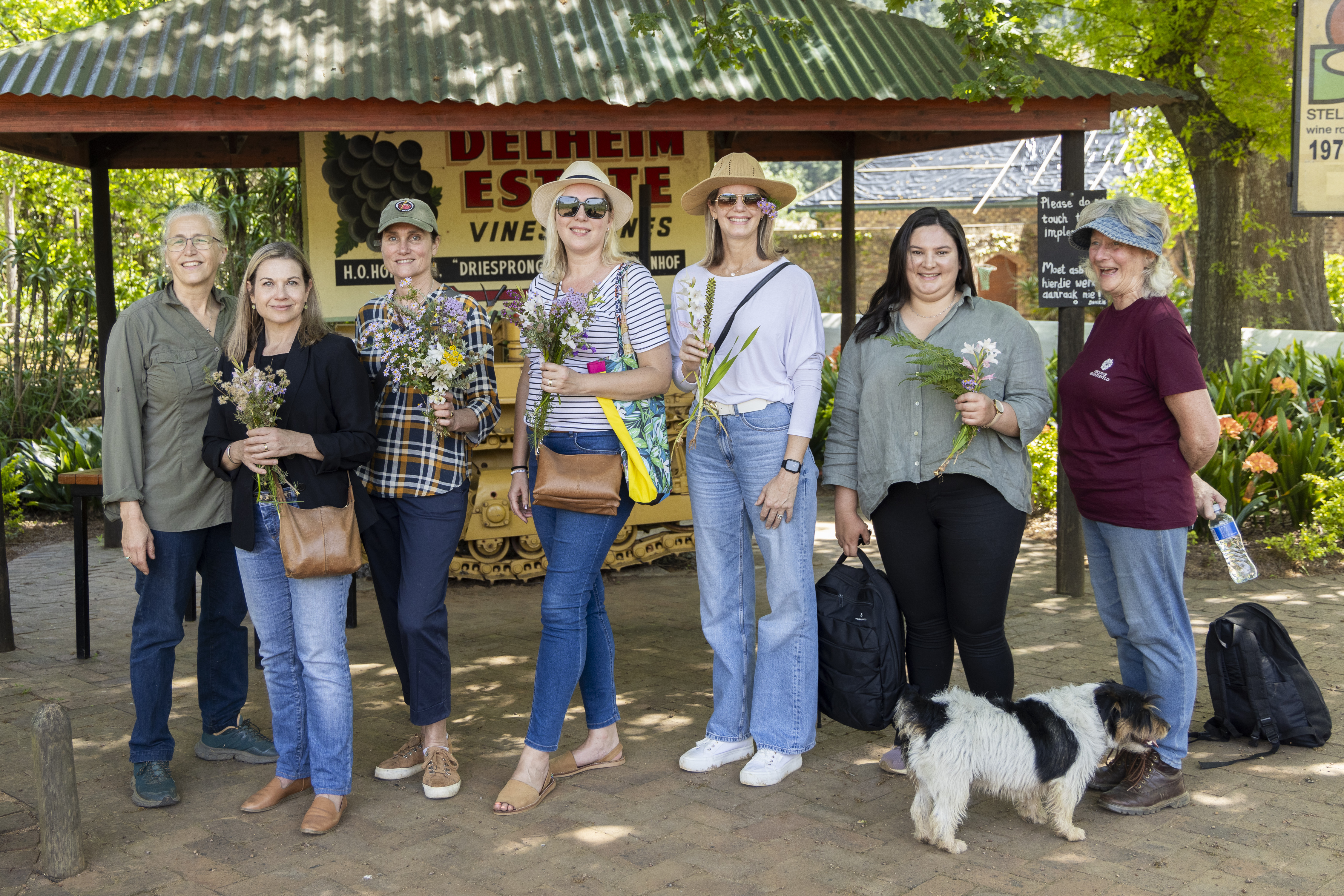 Read more about the article Fynbos Vineyard Pilot Project Further Boosts Delheim’s Pioneering Conservation Efforts